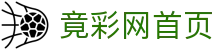竟彩网首页（中文）官网 - 官方赛事资讯与官方入口